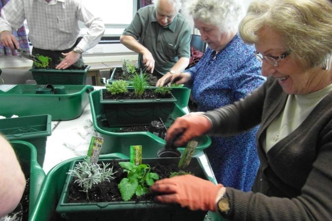 dementia and older people